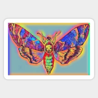 moth Sticker